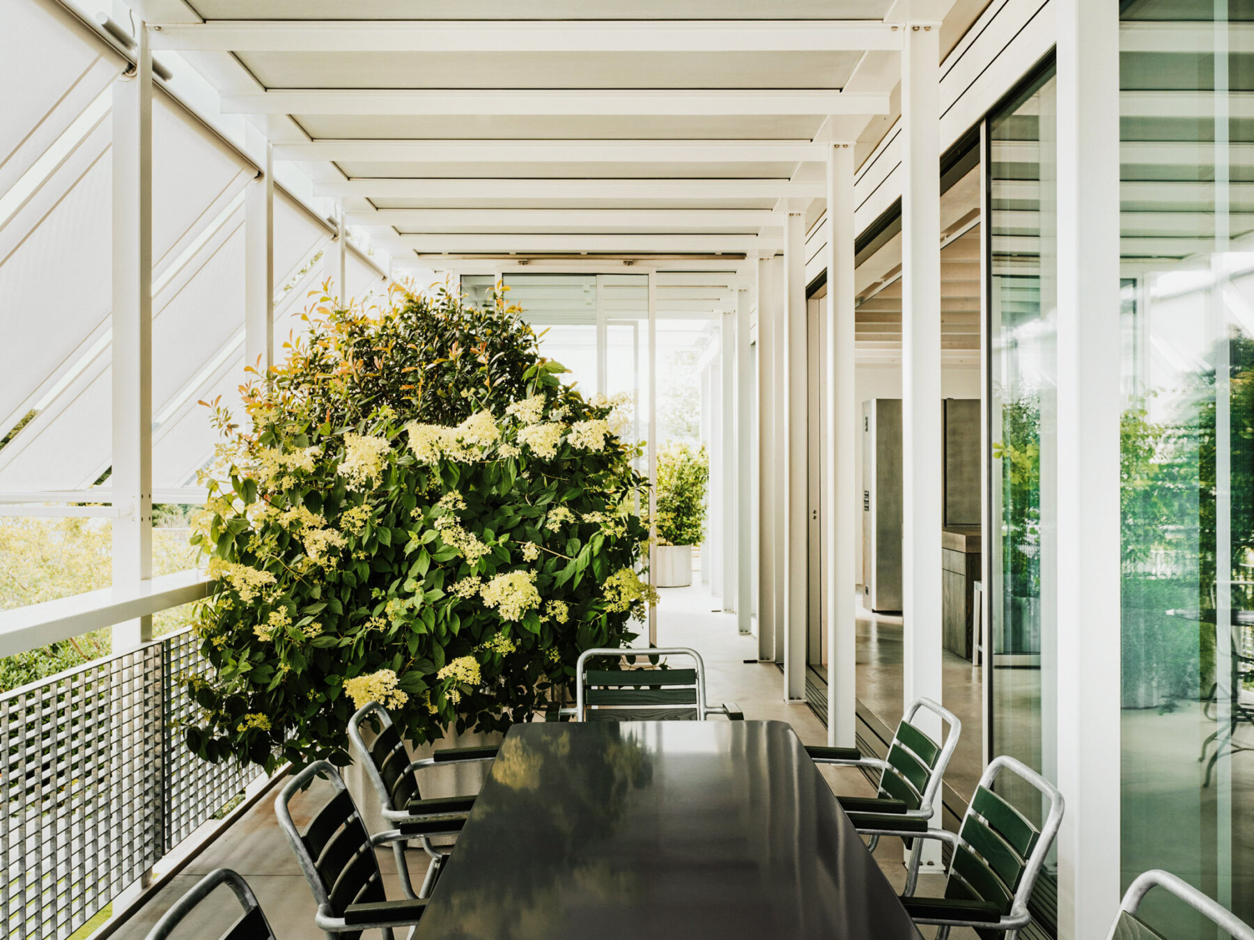 Bollhalder Walser, 2025