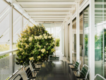 Bollhalder Walser, 2025